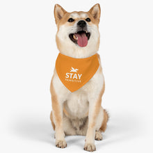 Load image into Gallery viewer, Stay Pawsitive Bandana Collar (Orange)