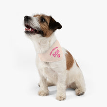 Load image into Gallery viewer, Work From Home Bandana Collar (Pink)