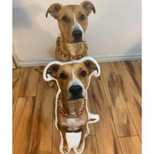 Load image into Gallery viewer, Cuddlepaw™ Personalized Pet Pillow