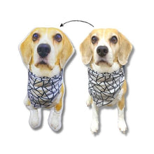 Load image into Gallery viewer, Cuddlepaw™ Personalized Pet Pillow