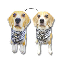 Load image into Gallery viewer, Cuddlepaw™ Personalized Pet Pillow