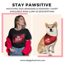 Load image into Gallery viewer, Stay Pawsitive (Red) Bandana Collar
