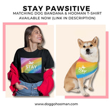 Load image into Gallery viewer, Stay Pawsitive (Rainbow) Bandana Collar