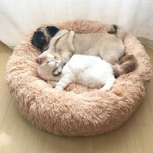 Load image into Gallery viewer, Calming Cloud™️ Dog Bed