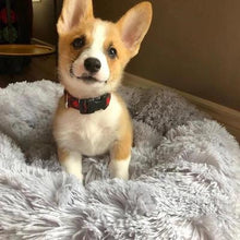 Load image into Gallery viewer, Calming Cloud™️ Dog Bed