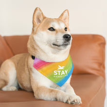 Load image into Gallery viewer, Stay Pawsitive (Rainbow) Bandana Collar