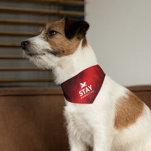 Load image into Gallery viewer, Stay Pawsitive (Red) Bandana Collar