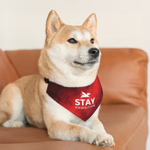 Load image into Gallery viewer, Stay Pawsitive (Red) Bandana Collar