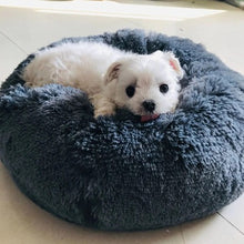 Load image into Gallery viewer, Calming Cloud™️ Dog Bed