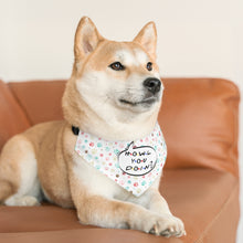 Load image into Gallery viewer, Howl You Doin Bandana Collar
