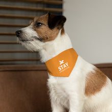 Load image into Gallery viewer, Stay Pawsitive Bandana Collar (Orange)
