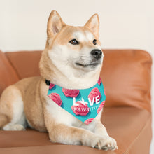 Load image into Gallery viewer, Live Pawsitive (Ice Cream Theme) Bandana Collar
