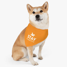 Load image into Gallery viewer, Stay Pawsitive Bandana Collar (Orange)
