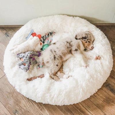 Calming Cloud™️ Dog Bed