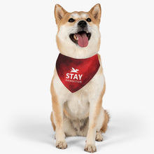 Load image into Gallery viewer, Stay Pawsitive (Red) Bandana Collar
