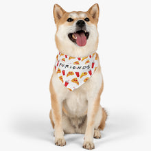 Load image into Gallery viewer, Furiends Bandana Collar
